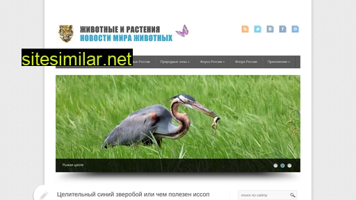 Floranimal-net similar sites