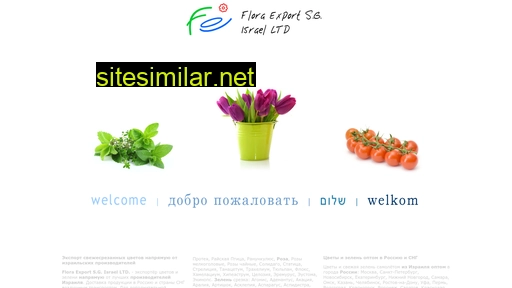 flora-export.ru alternative sites