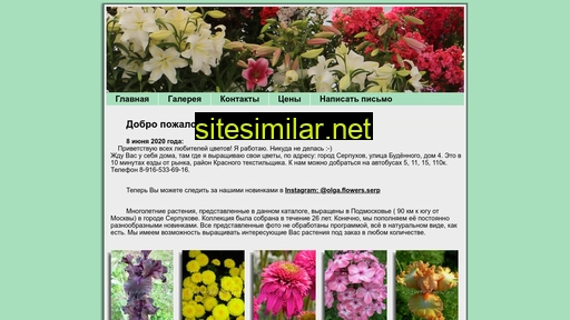 flowers-olga.ru alternative sites