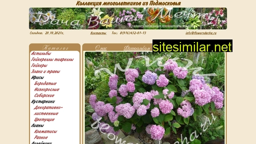 flowersdacha.ru alternative sites
