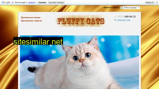 fluffy-cats.ru alternative sites