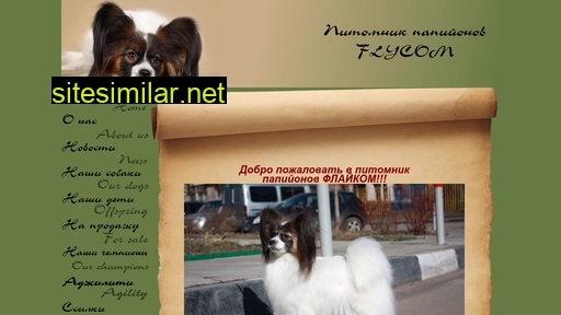 flycom-dog.ru alternative sites