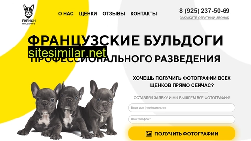 french-bulldogs.ru alternative sites