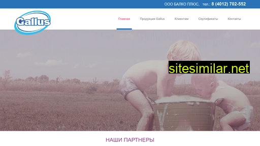 galluspro.ru alternative sites