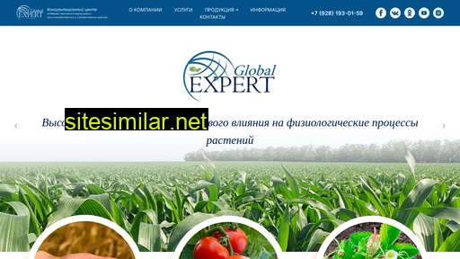 global-expert.ru alternative sites