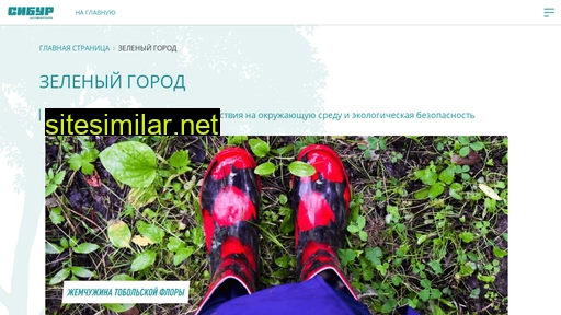 greencity-sibur.ru alternative sites
