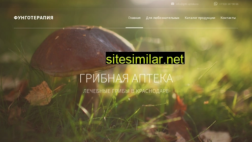 grib-apteka.ru alternative sites