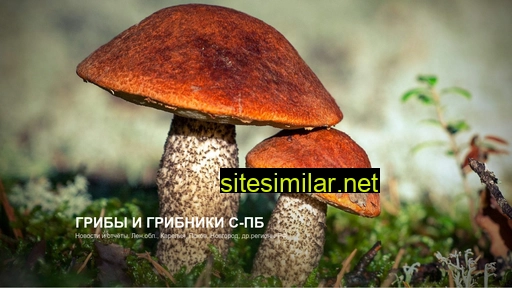 grib-spb.ru alternative sites