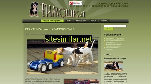 gtk-tim.ru alternative sites