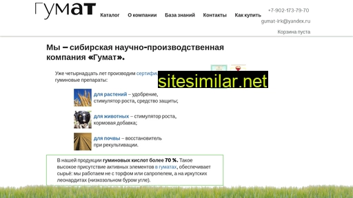 gumat-irkutsk.ru alternative sites