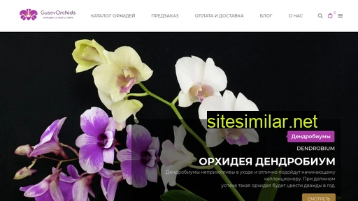 gusevorchids.ru alternative sites