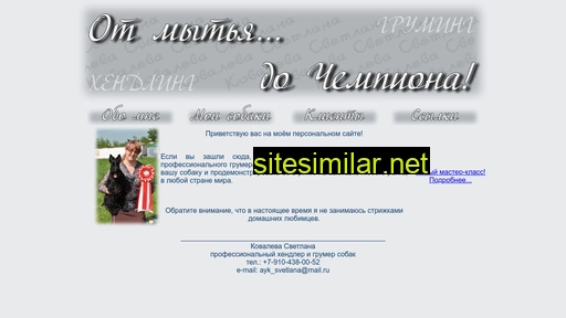 handler-groomer.ru alternative sites
