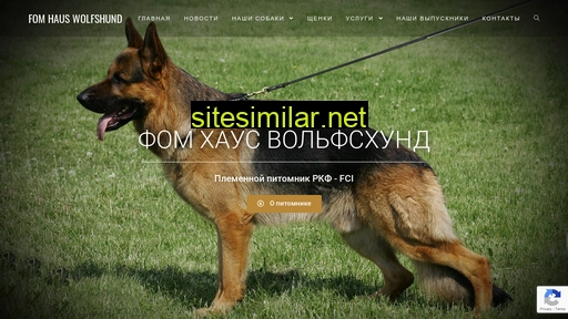 haus-wolfshund.ru alternative sites