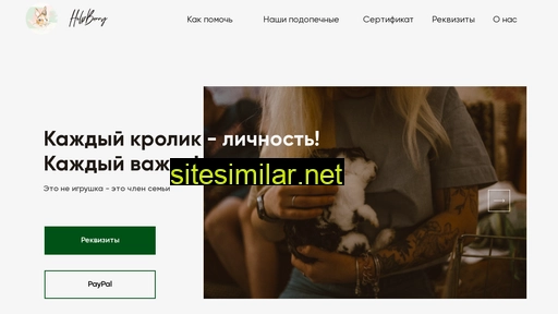helpbunny.ru alternative sites