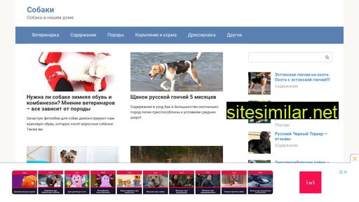 helpdog-snz.ru alternative sites