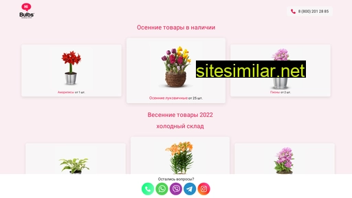 hibulbs.ru alternative sites