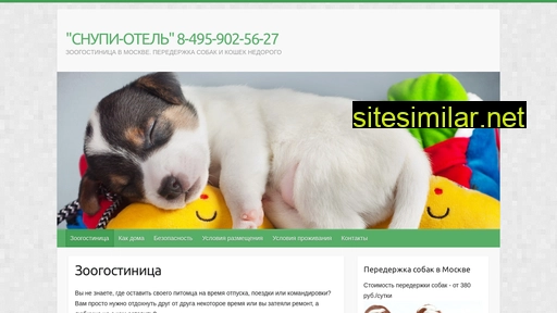 hotel-4-animals.ru alternative sites