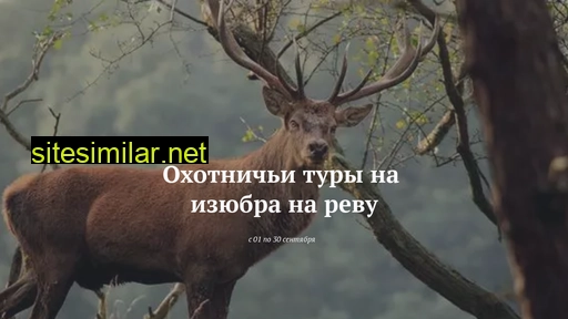 huntind27.ru alternative sites