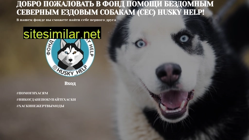 husky-help.ru alternative sites