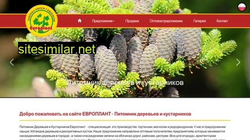 hydrangea-online.ru alternative sites
