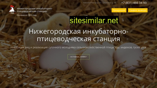 incubatornn.ru alternative sites