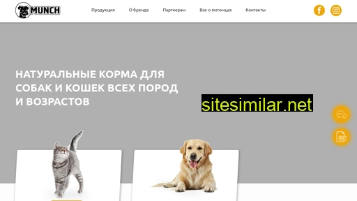 infomunch.ru alternative sites