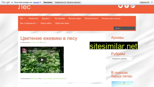 intheforest.ru alternative sites