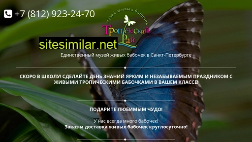 i-butterfly.ru alternative sites