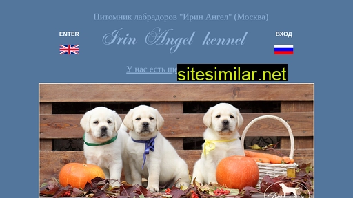 irin-angel.ru alternative sites