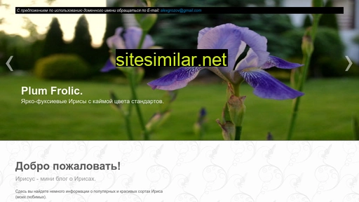 Irisys-rus similar sites