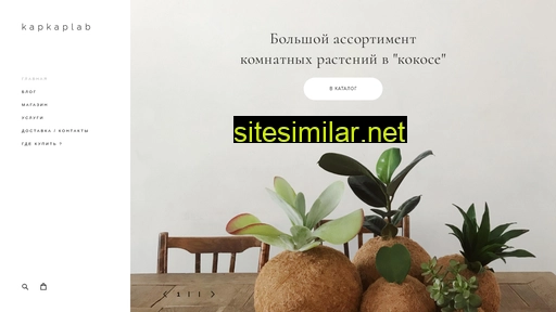 kapkaplab.ru alternative sites