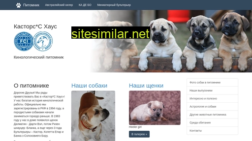 kastorshouse.ru alternative sites
