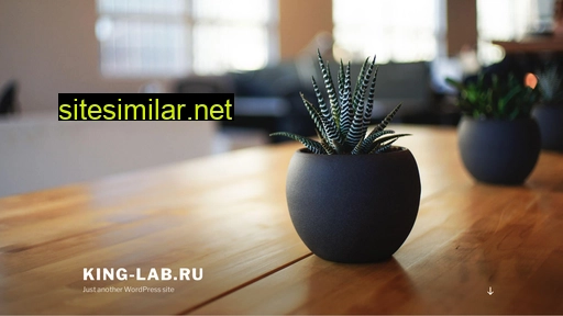king-lab.ru alternative sites