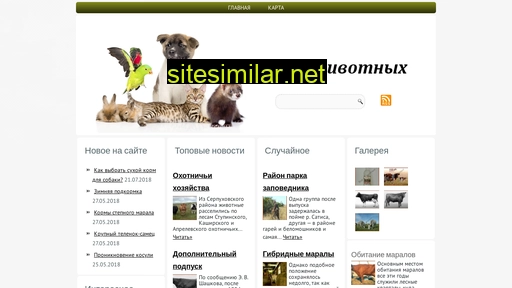 kistudio.ru alternative sites