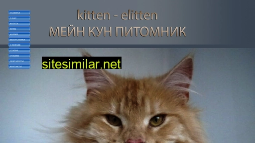 kitten-elitten.ru alternative sites
