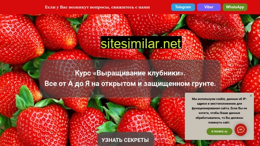 klubnika-online-kulik.ru alternative sites