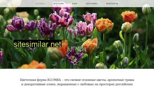 klumbaflower.ru alternative sites