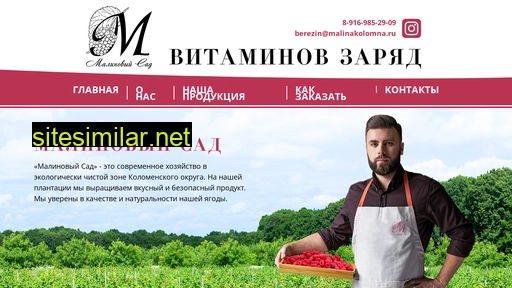 kolomnamalina.ru alternative sites