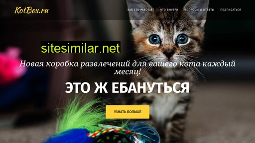 kotbox.ru alternative sites