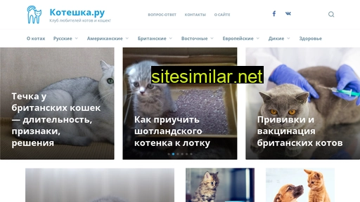 koteshka.ru alternative sites
