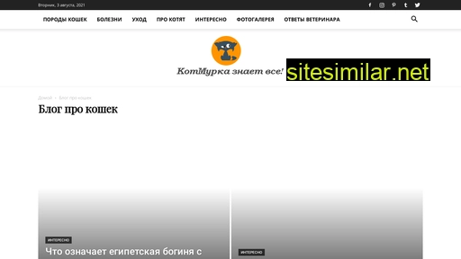kotmurka.ru alternative sites
