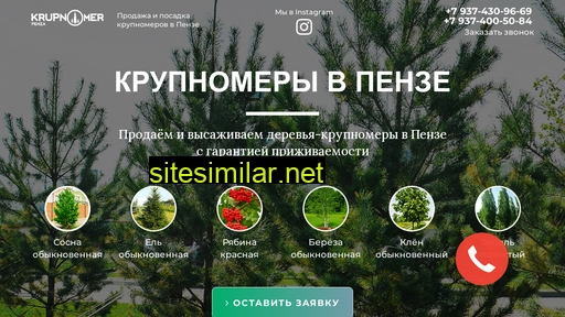 krupnomer58.ru alternative sites