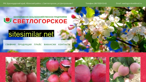 ksp-sw.ru alternative sites