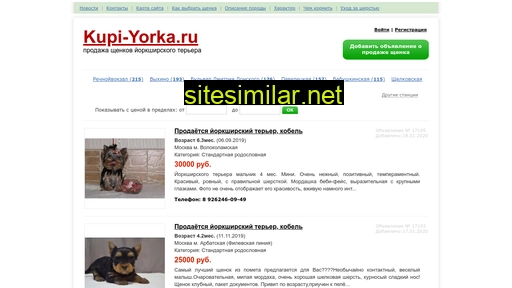 kupi-yorka.ru alternative sites