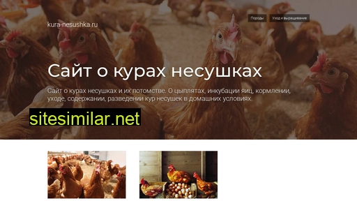 kura-nesushka.ru alternative sites