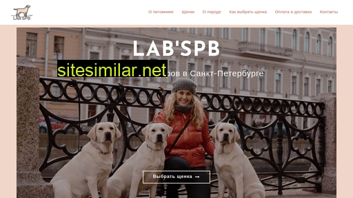 labradorspb.ru alternative sites