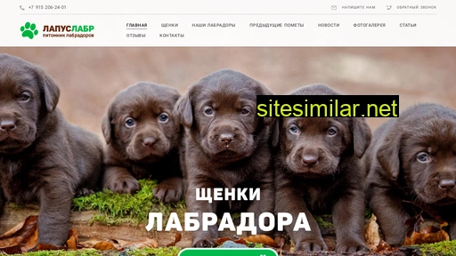 labrlapus.ru alternative sites