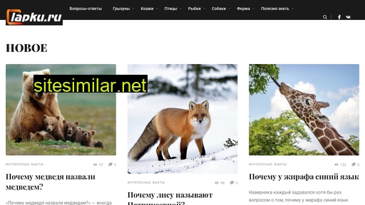 lapku.ru alternative sites