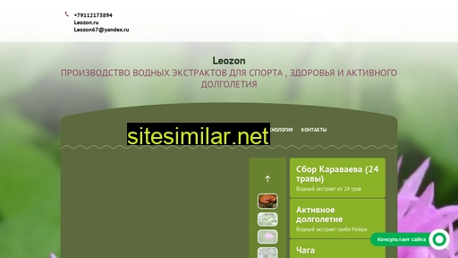leozon.ru alternative sites