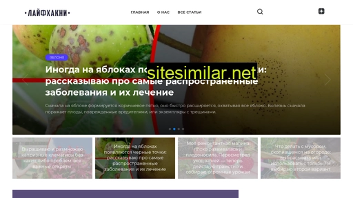 life-hacky.ru alternative sites